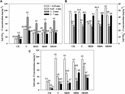 Phosphatase activities and available nutrients in soil aggregates affected by straw returning to a calcareous soil under the maize–wheat cropping system